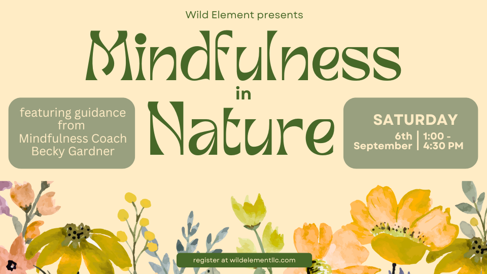 mindfulness in nature